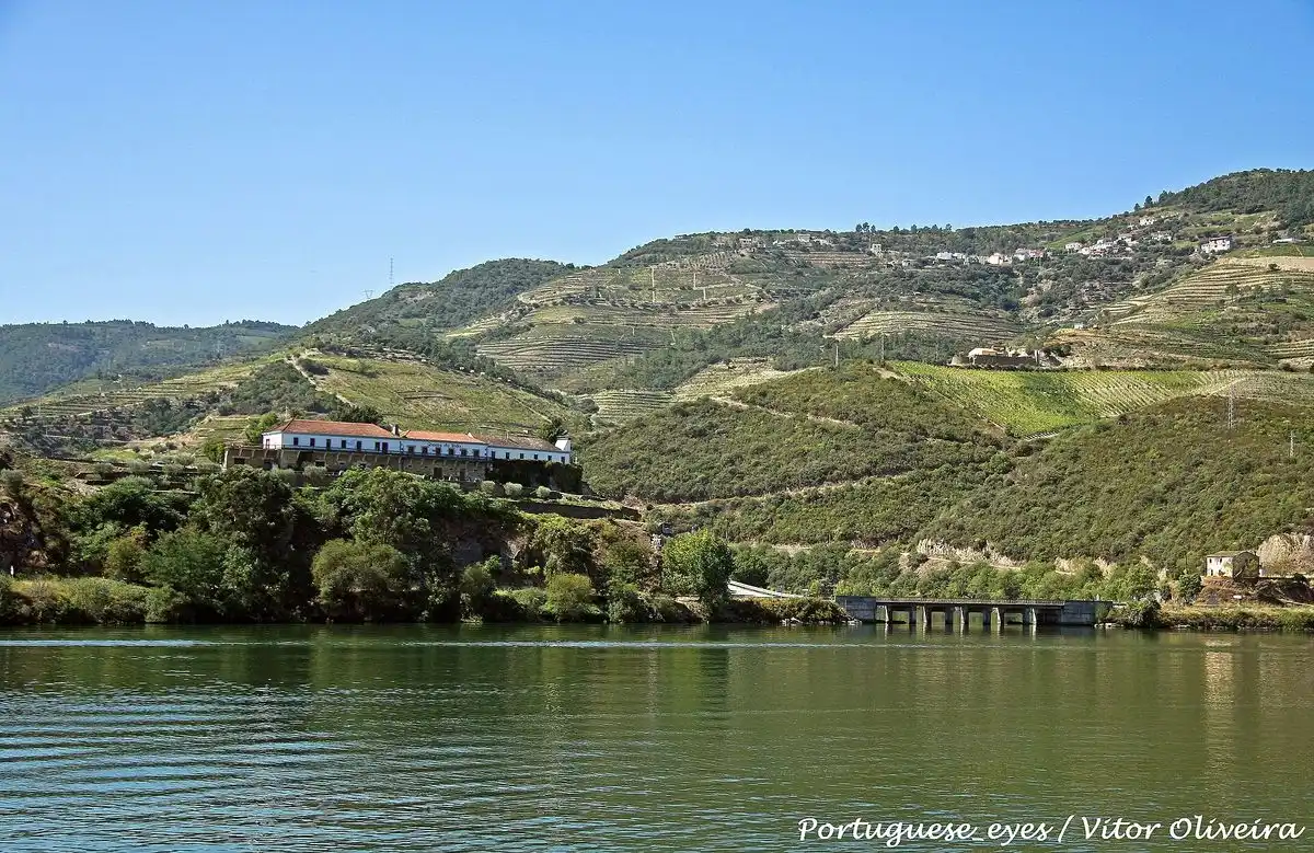 Quinta familiar sobre el valle del río Duero, el tipo de finca que se visita en tours vinícolas boutique