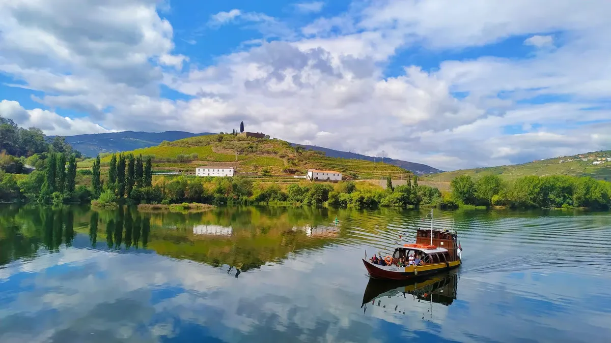 Fila de vinos del Duero servidos para un tour de vino en grupo pequeño de 9 catas con almuerzo y crucero por el río desde Oporto
