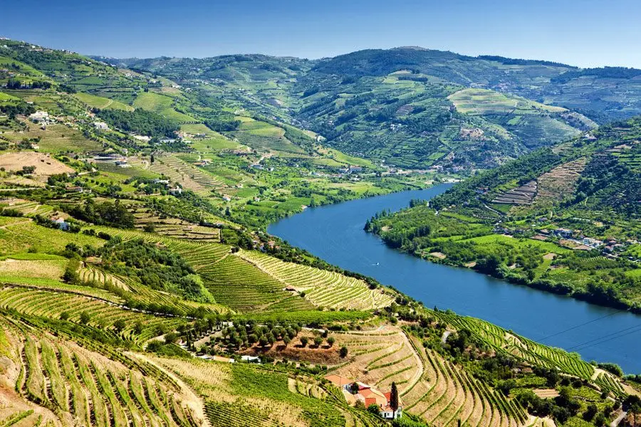 Furgoneta de lujo privada en una carretera de bancales del valle del Duero para un tour privado de vino personalizable desde Oporto con recogida en el hotel