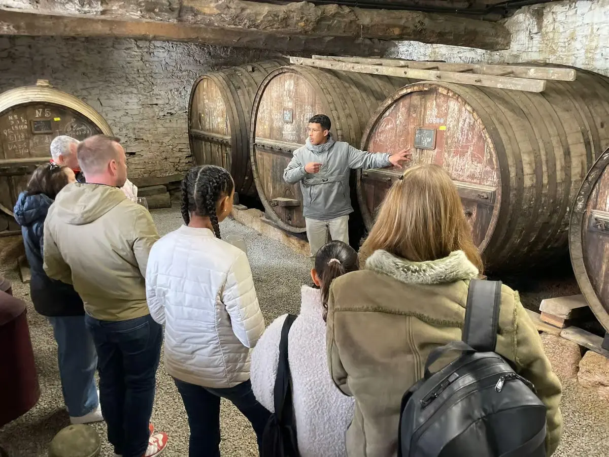 Terraza de una quinta familiar sobre viñedos en terrazas en el tour del valle del Duero por 2 bodegas boutique con almuerzo en bodega y crucero fluvial
