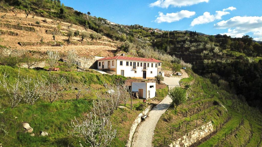 Quinta do Fojo Winery