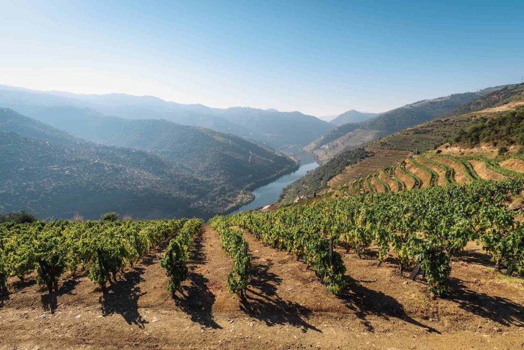 Douro wine valley
