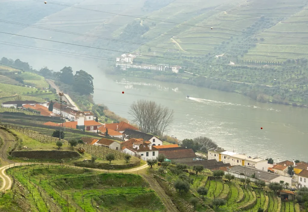 Douro river 2