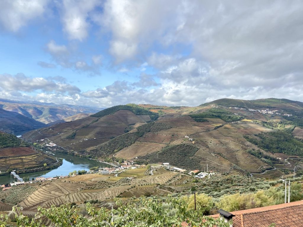 Douro valley portugal during off season v0 b2zmruxcblib1