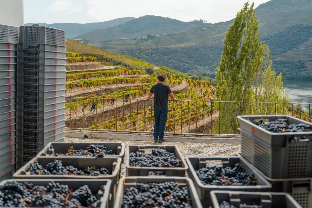Douro Valley & Amarante Tour