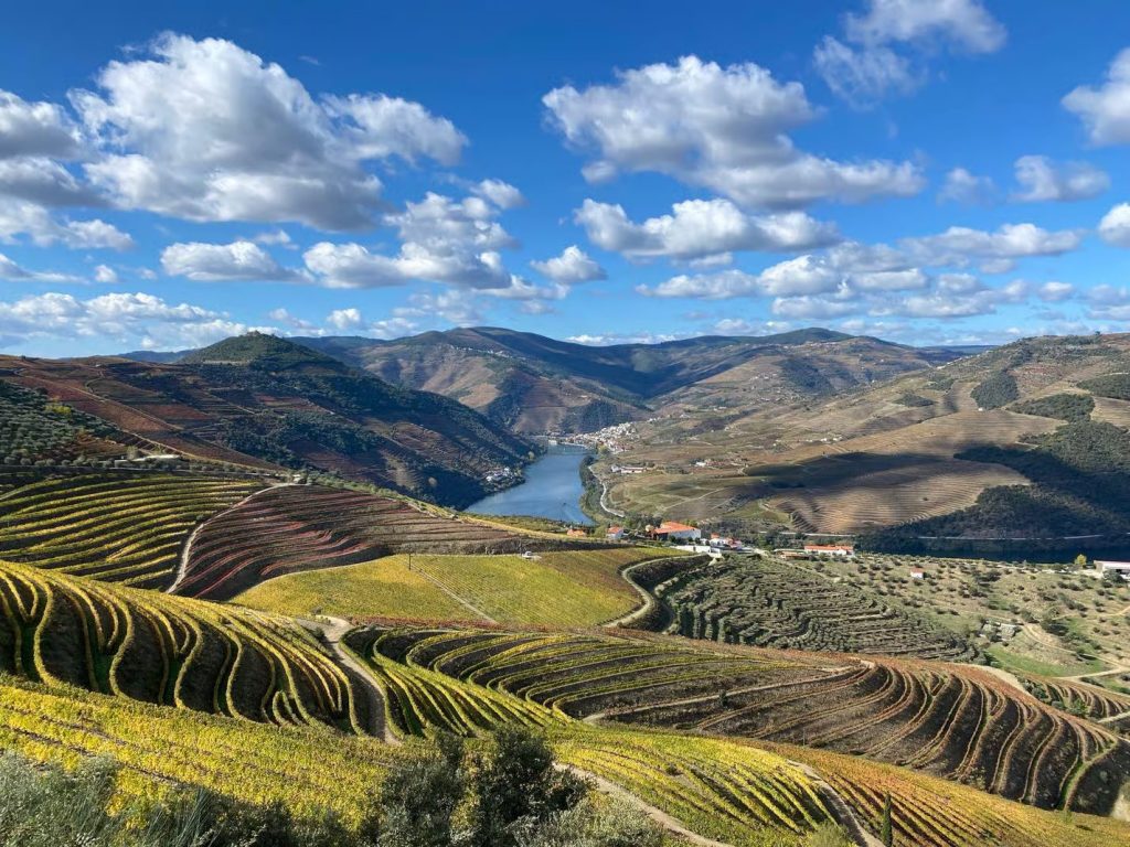 Full Day: From Porto to the Valley and Back