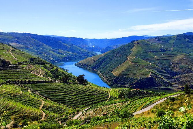 What Portugal Excellence Tours Does Better Than the Standard Douro Day Trip